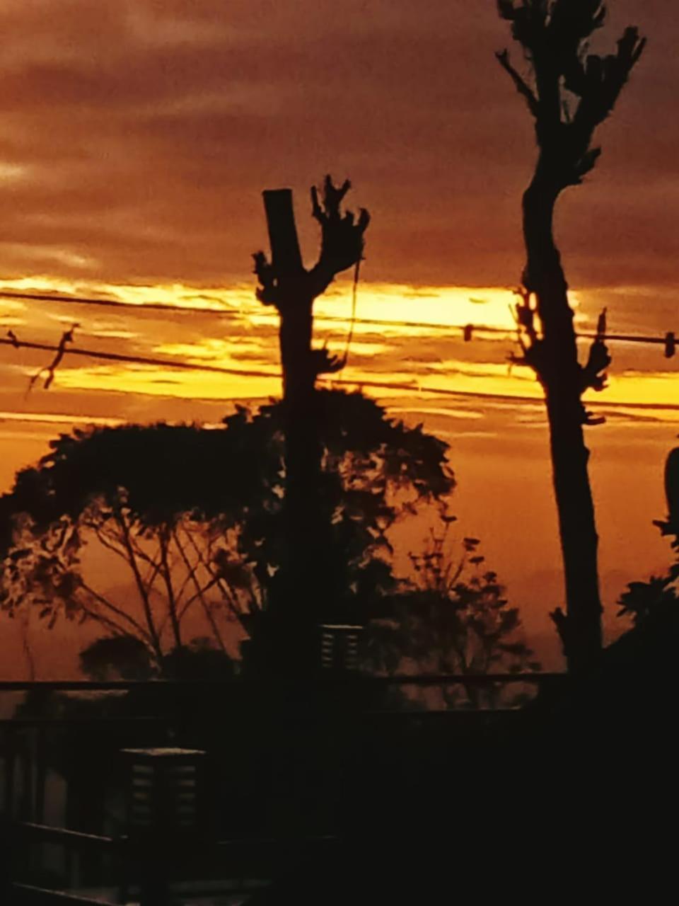 Maple Home Stay Procida Dış mekan fotoğraf
